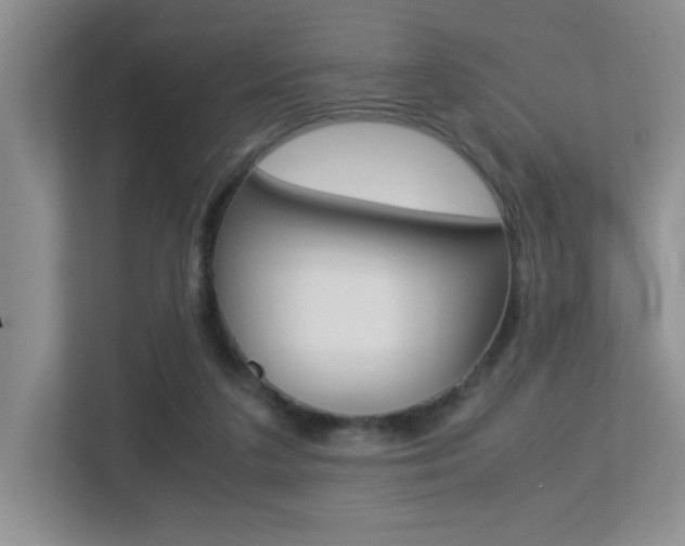 X0000113250211200909100949