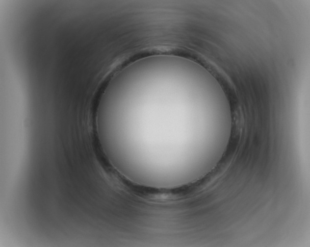 X0000113250212200909100949