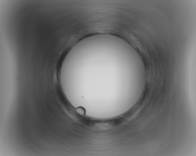 X0000113250213200909100949