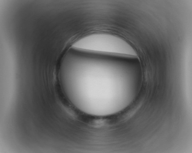 X0000113250216200909100949