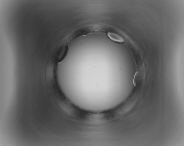 X0000113250217200909100949