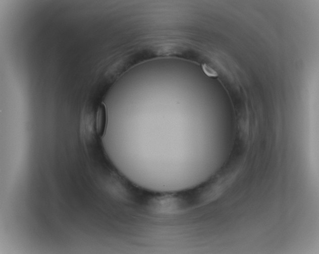 X0000113250219200909100949