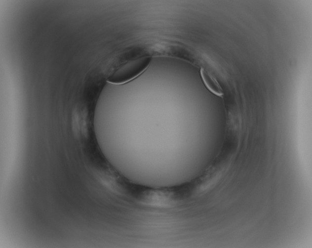 X0000113250223200909100949