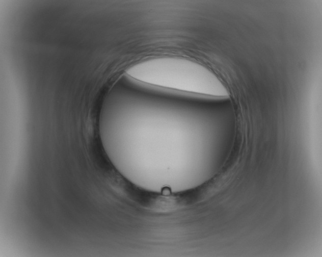 X0000113250227200909100949