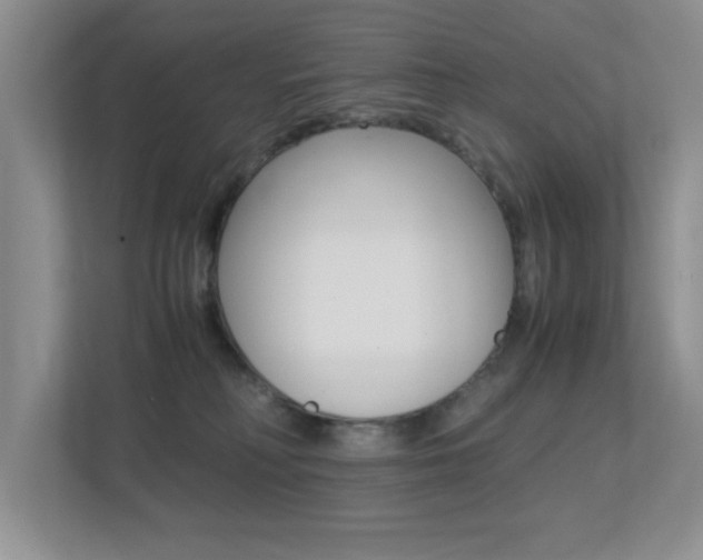 X0000113250230200909100949