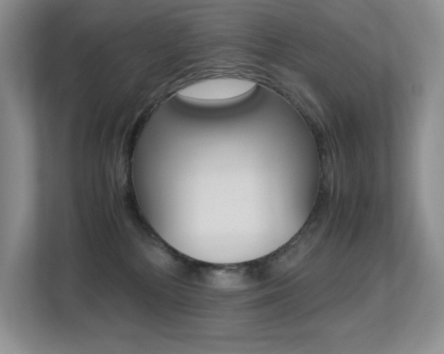 X0000113250232200909100949