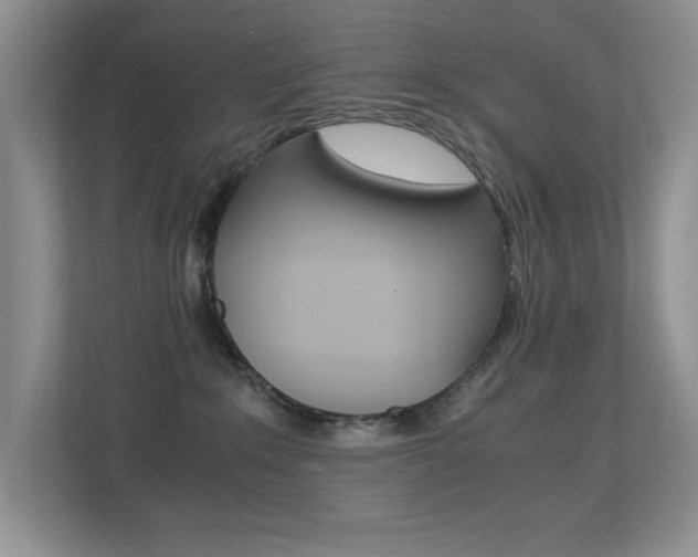 X0000113250235200909100949