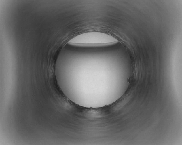 X0000113250236200909100949