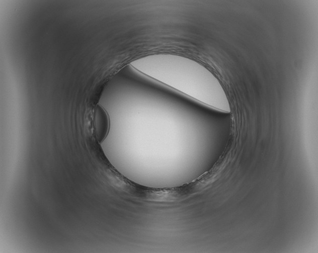 X0000113250237200909100949