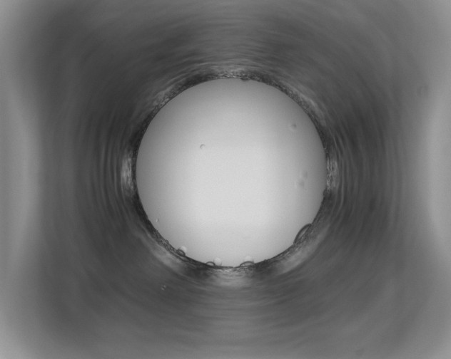 X0000113250238200909100949