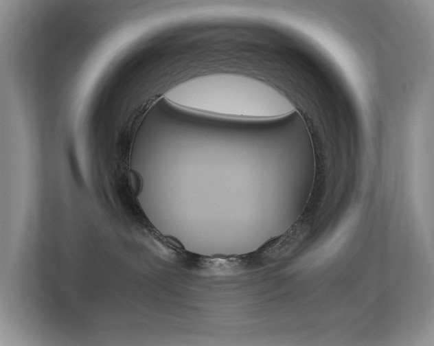 X0000113250239200909100949