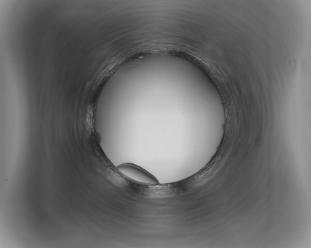 X0000113250240200909100949
