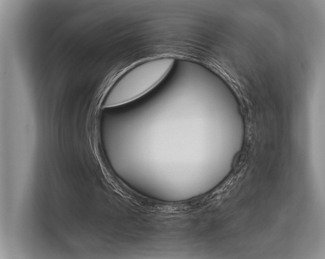 X0000113250241200909100948