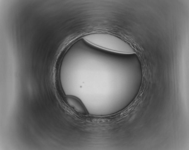 X0000113250242200909100948