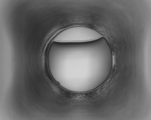 X0000113250243200909100948
