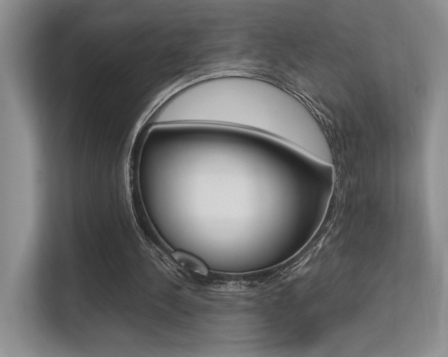 X0000113250244200909100948