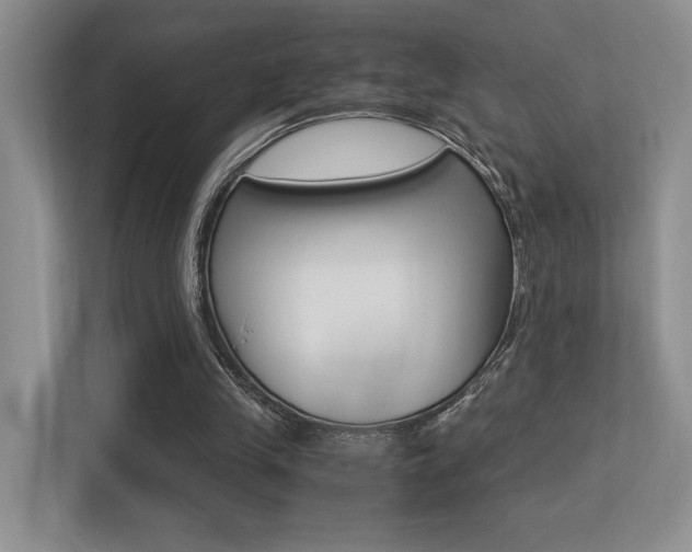 X0000113250245200909100948