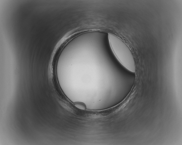 X0000113250246200909100948