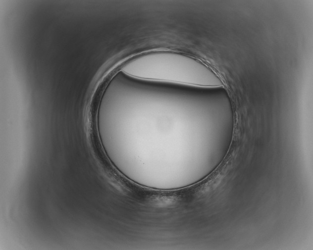 X0000113250247200909100948