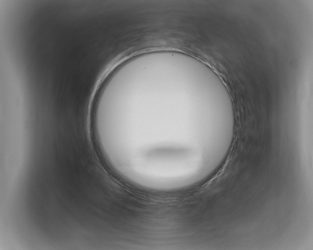 X0000113250248200909100948