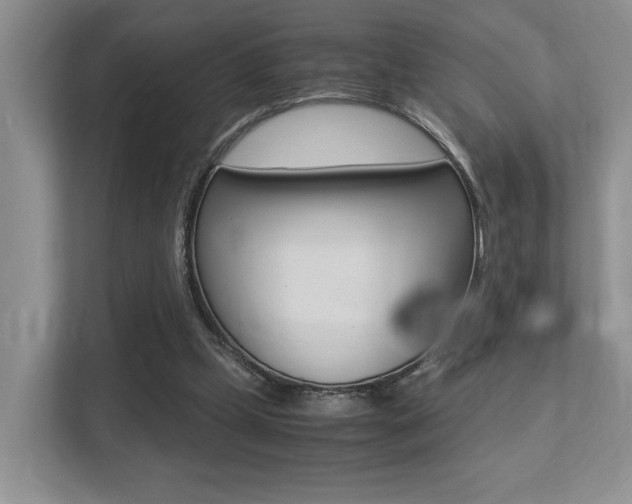 X0000113250249200909100948