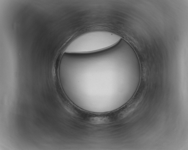X0000113250251200909100948