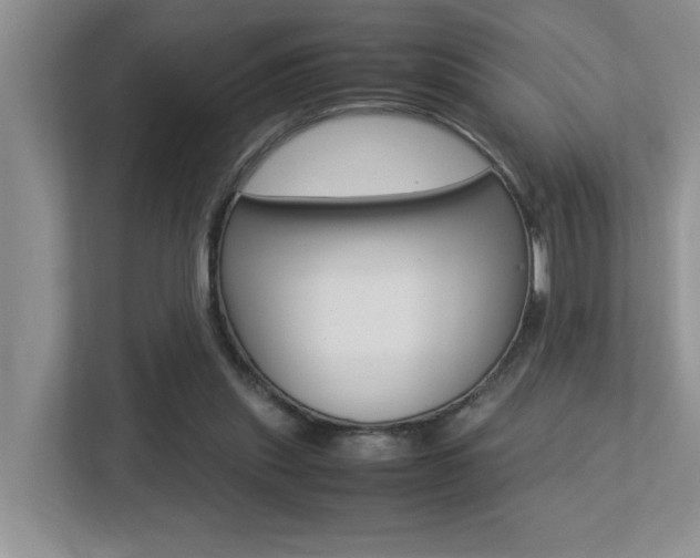 X0000113250253200909100948