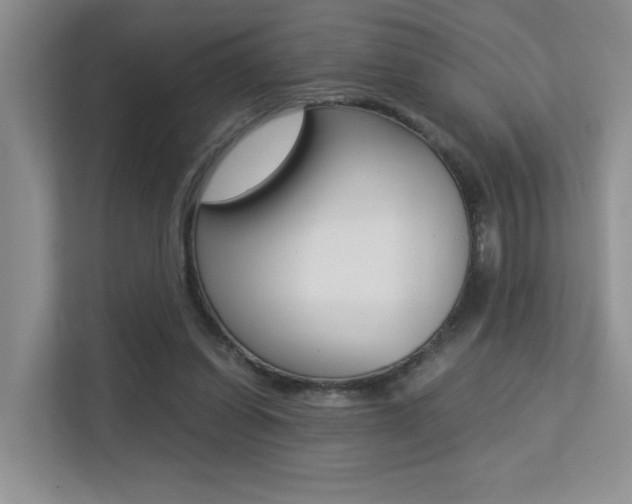 X0000113250254200909100948