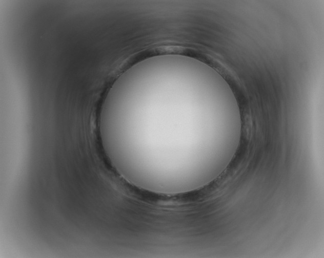 X0000113250259200909100948
