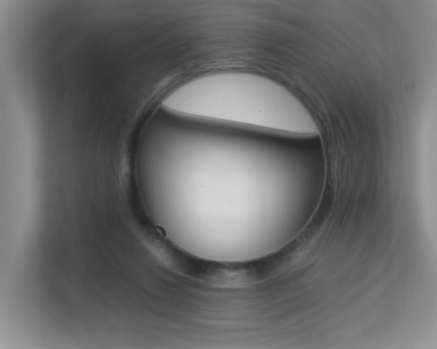 X0000113250260200909100948