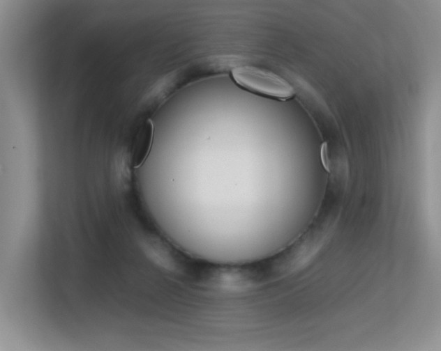 X0000113250264200909100948