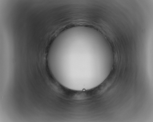 X0000113250271200909100949