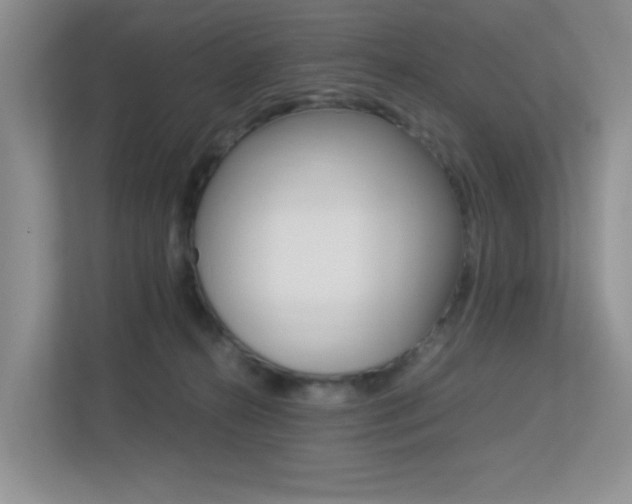 X0000113250272200909100949