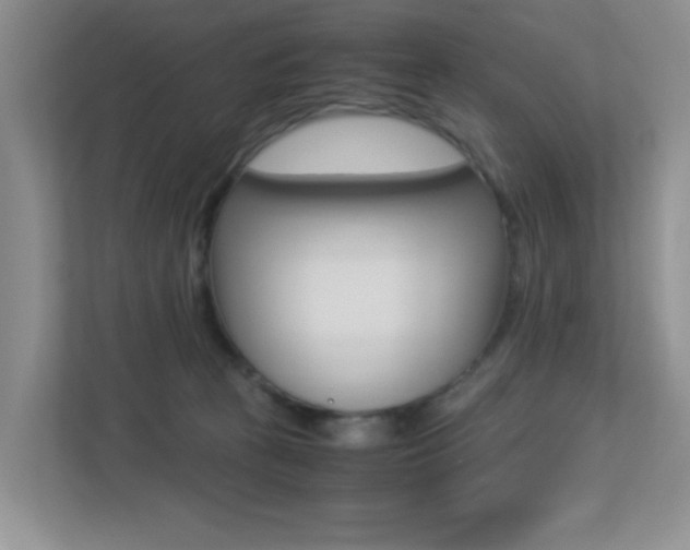 X0000113250273200909100949