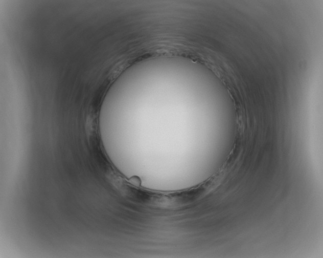 X0000113250276200909100949