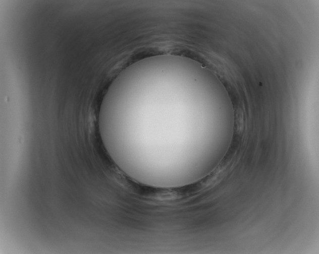 X0000113250279200909100949