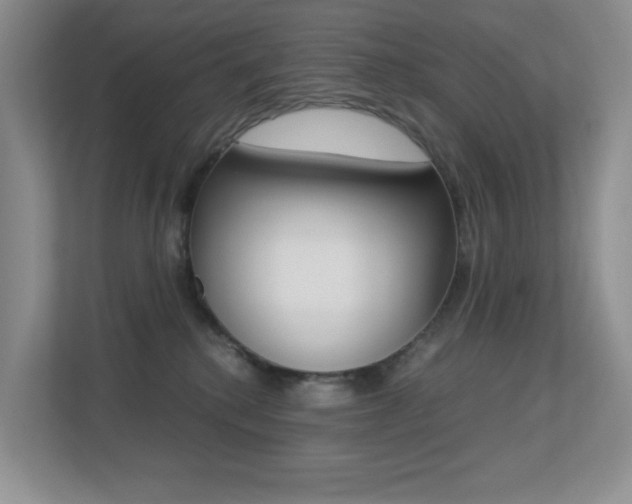X0000113250280200909100949