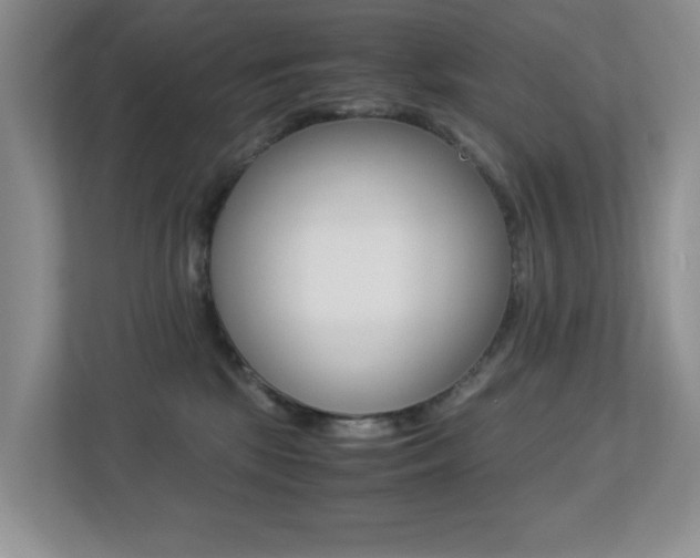 X0000113250281200909100949