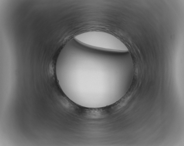 X0000113250282200909100949