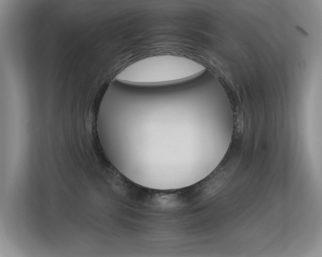 X0000113250283200909100949