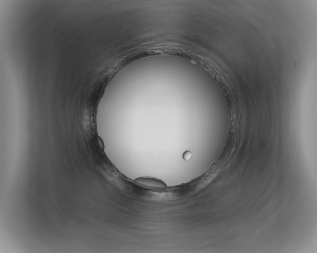 X0000113250284200909100949
