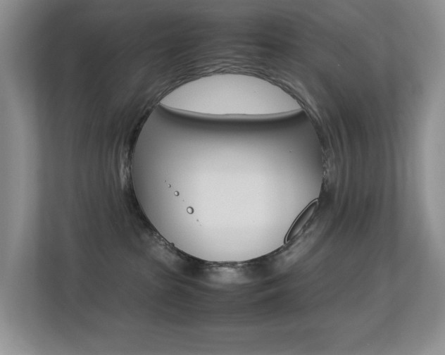 X0000113250285200909100949
