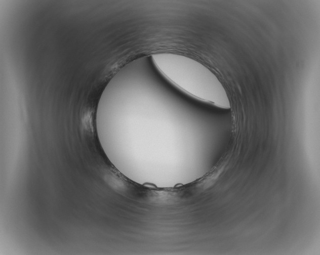 X0000113250286200909100949