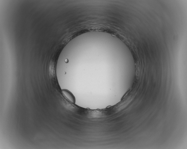X0000113250287200909100949