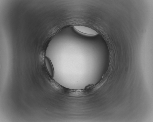 X0000113250288200909100949