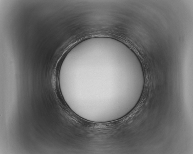 X0000113250290200909100948