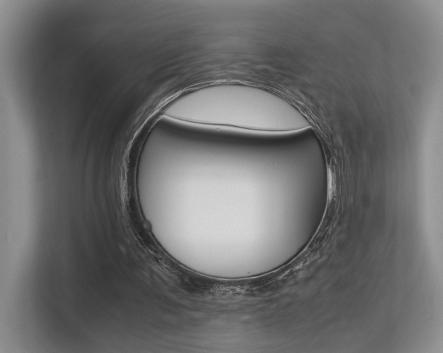 X0000113250291200909100948