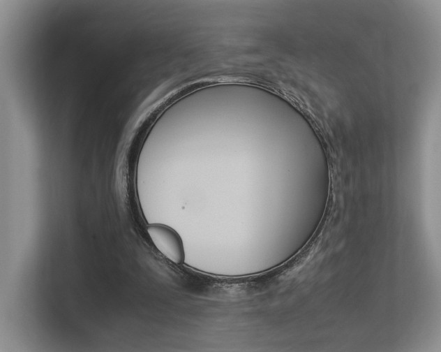 X0000113250295200909100948