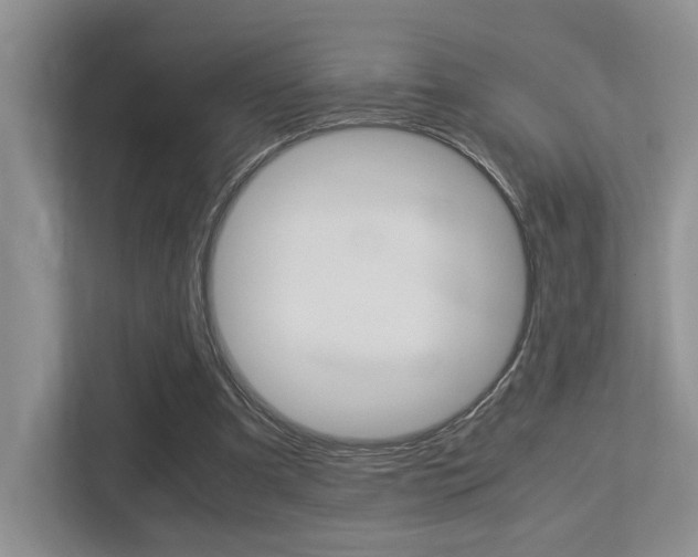 X0000113250297200909100948