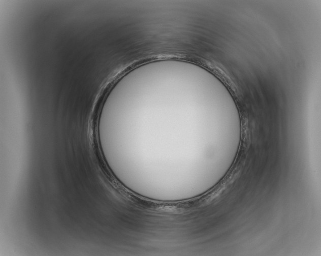 X0000113250298200909100948